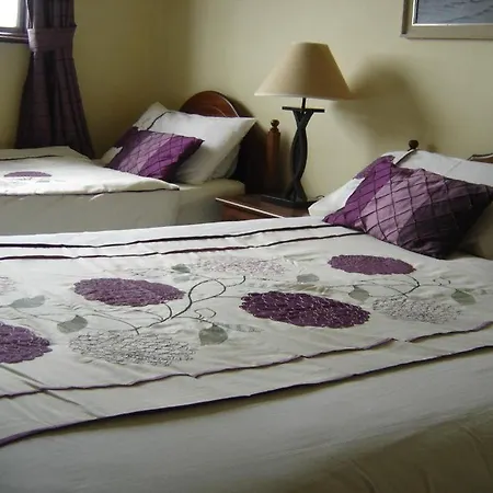 Springlawn ベッド・アンド・ブレックファスト