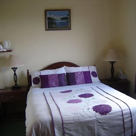 Springlawn Bed and breakfast Clarinbridge
