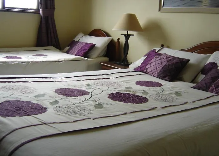 Springlawn Bed and breakfast